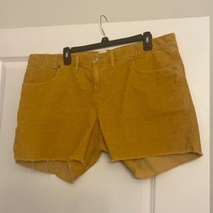 NWOT GAP Distressed Cute Corduroy Shorts - Size 16